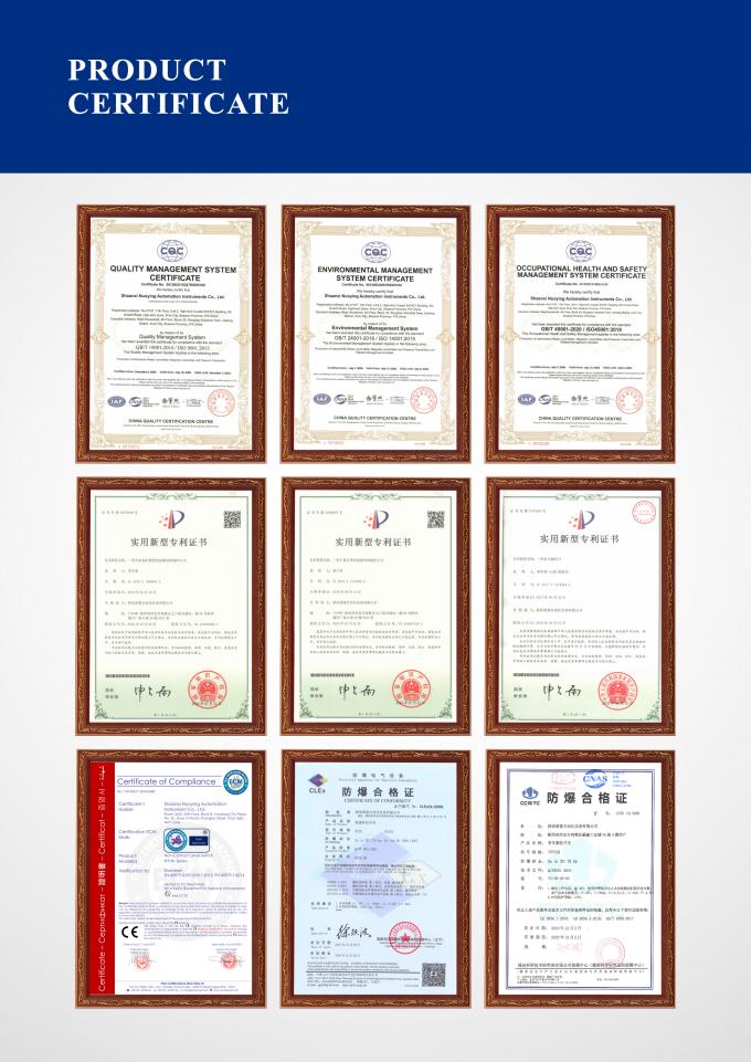 Lityum bitkilerinde doğrudan yerleştirme çatal yoğunluk ölçer 2